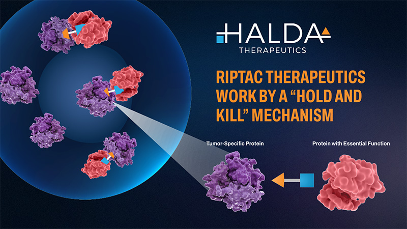 强生以30.5亿美元收购Halda Therapeutics：肿瘤学管线的战略扩张
